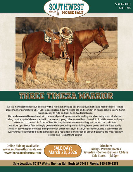 THREE TIMEZA WARRIOR