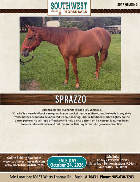SPRAZZO
