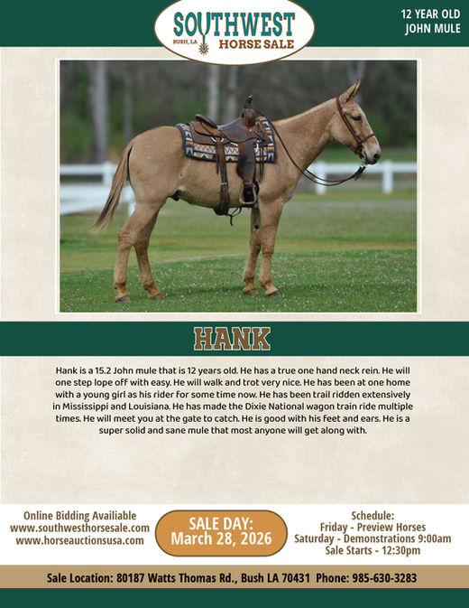 HIP #80 HANK
