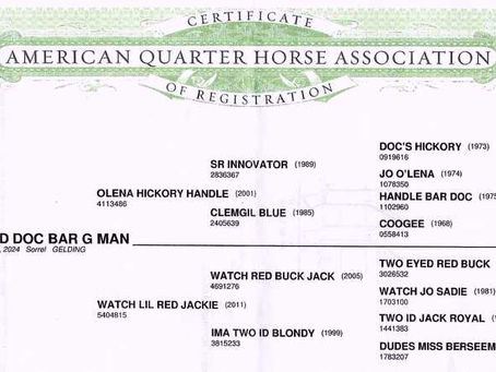 HIP #46 TWO ID DOC BAR G MAN