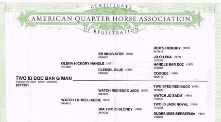 TWO ID DOC BAR G MAN