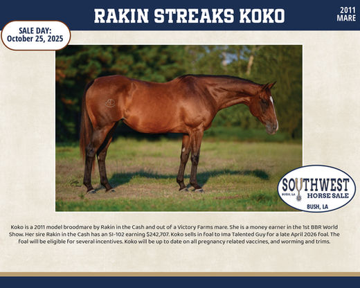 #76 RAKIN STREAKS COCO