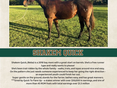 HIP #17 SHAKEM QUICK