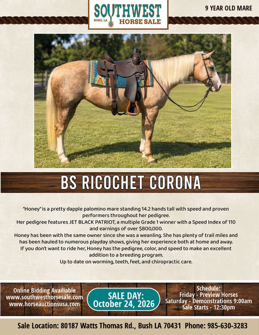 BS RICOCHET CORONA