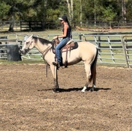 #81 SHES A ZIPCHIP OTOE