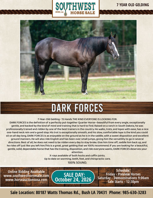 DARK FORCES