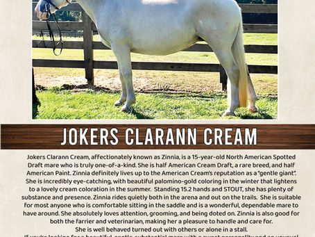 JOKERS CLARANN CREAM