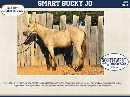 #139 SMART BUCKY JO