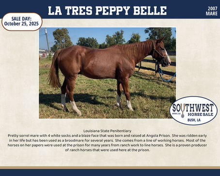 #93 LA TRES PEPPY BELLE