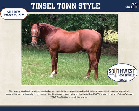 #88 TINSEL TOWN STYLE