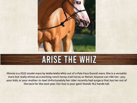 HIP #90 ARISE THE WHIZ