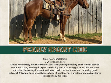 HIP #14 PEARLY SMART CHIC
