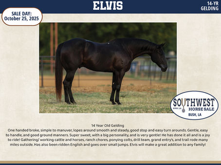 #49 ELVIS