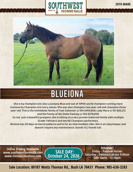 BLUIONA