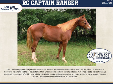 #121 RC CAPTAIN RANGER