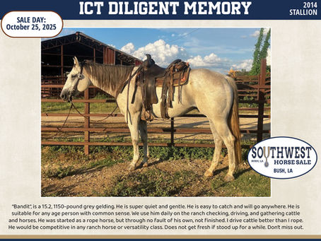 #27 ICT DILIGENT MEMORY