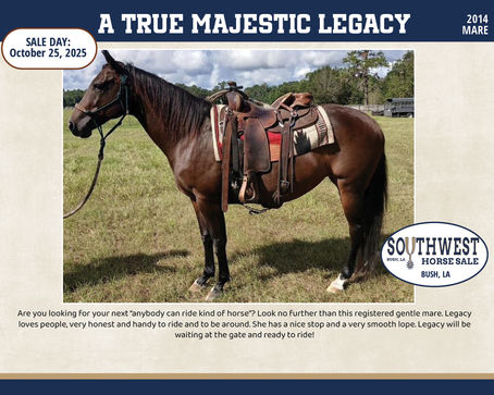#98 A TRUE MAJESTIC LEGACY