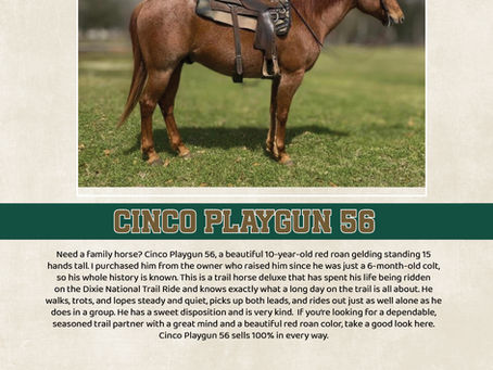 CINCO PLAYGUN 56