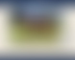 #60 NIFTY FIFTY
