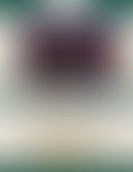 PR MIDGET ROAN BLUES