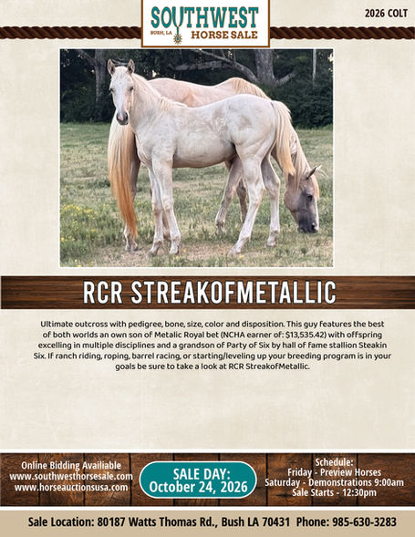 RCR STREAKOFMETALLIC