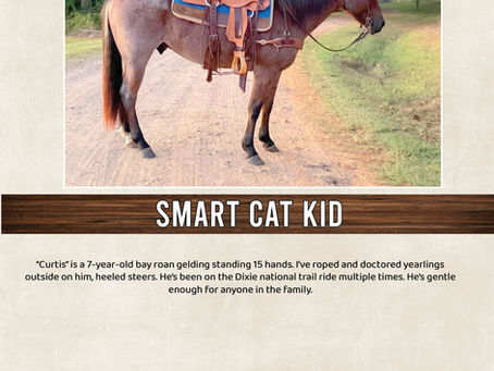 HIP #98 SMART CAT KID