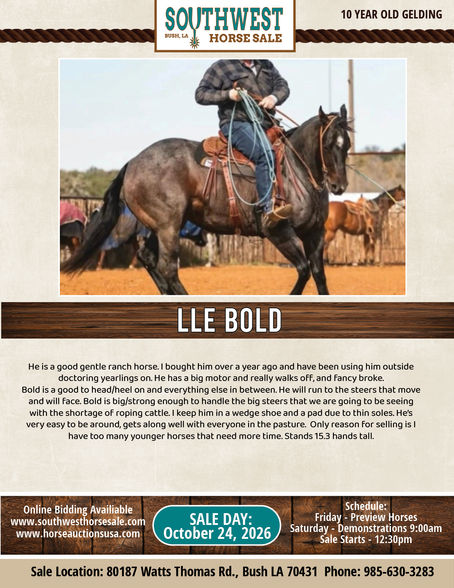 LLE BOLD