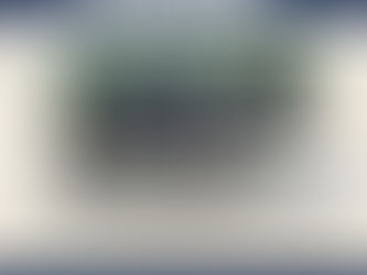 #13 FLASHIN AT THE BAR