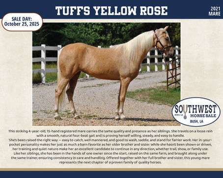 #103 TUFFS YELLOW ROSE