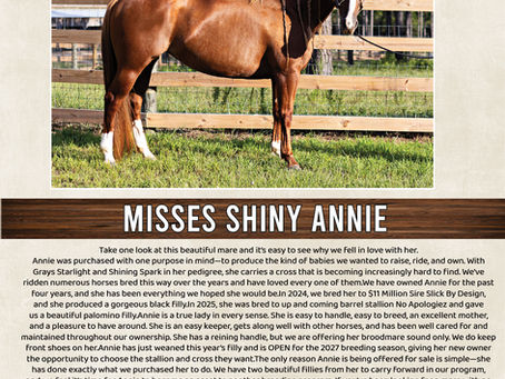 MISSES SHINY ANNIE