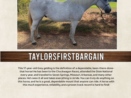 TAYLORSFIRSTBARGAIN