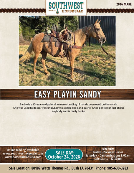 EASY PLAYIN SANDY