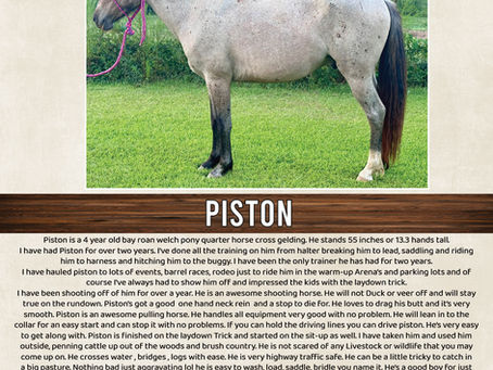 PISTON
