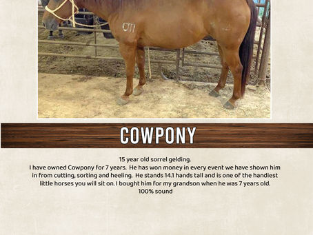 COWPONY