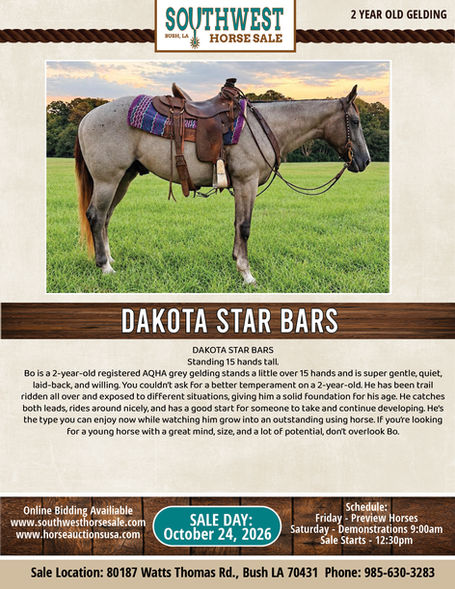 DAKOTA STAR BARS