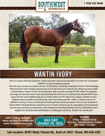 WANTIN IVORY