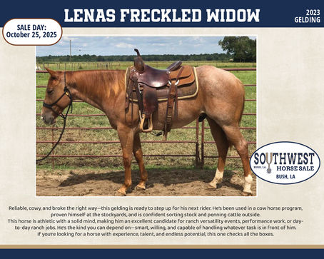 LENAS FRECKLED WIDOW