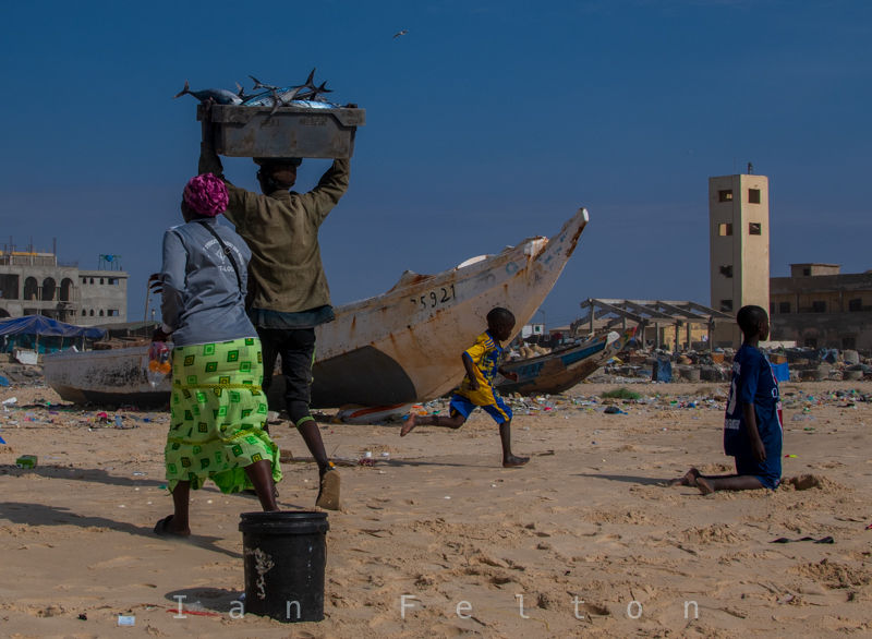 The fish is unloaded and carried away in crates