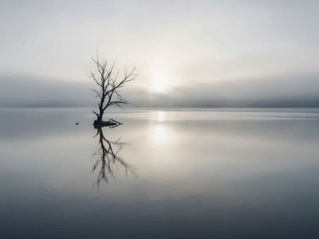 ACT is a good map. The Neiye is the territory.