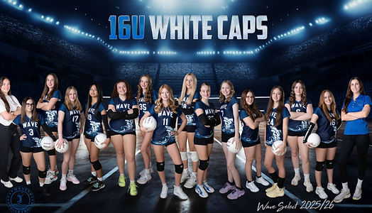 wavevolleyselect16Uteampic_edited.jpg