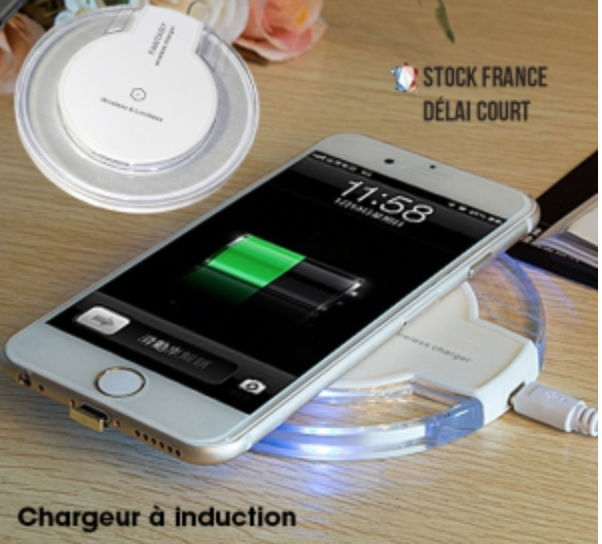 Power bank induction
