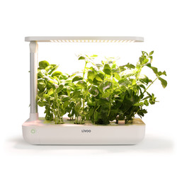 Lampe de croissance à LED 21 W