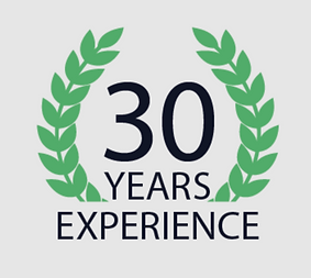 30 Years of Experience Logo