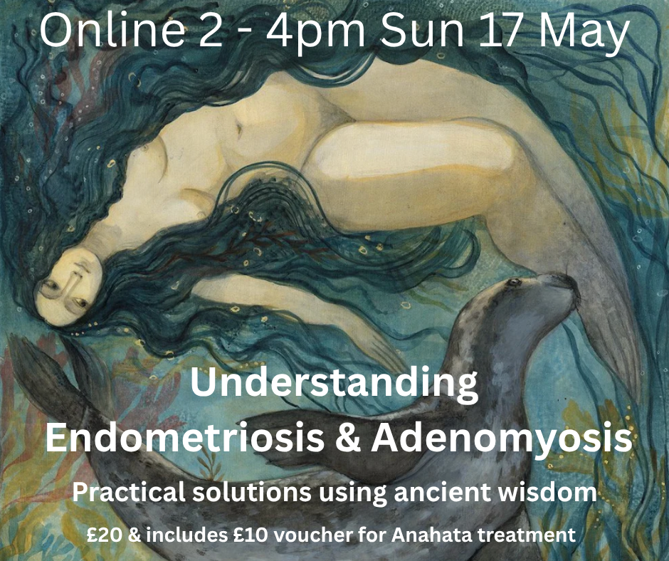 Understanding Endometriosis & Adenomyosis