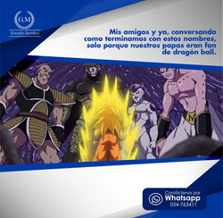 CAMBIO NOMBRE DRAGON BALL Z - copia
