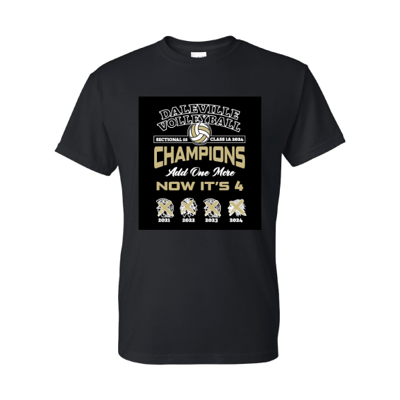 Daleville Sectional Championship T-Shirt
