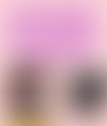 Udderly amazing learning: Milking a cow and making milkshakes!