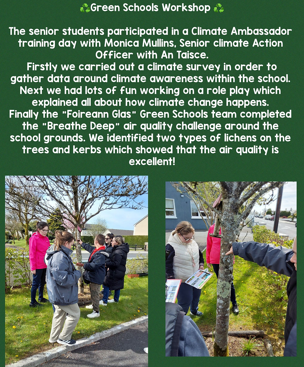 Green Schools Workshop 