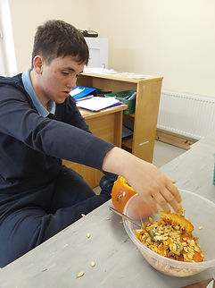 20231026_124925 - Copy.jpg