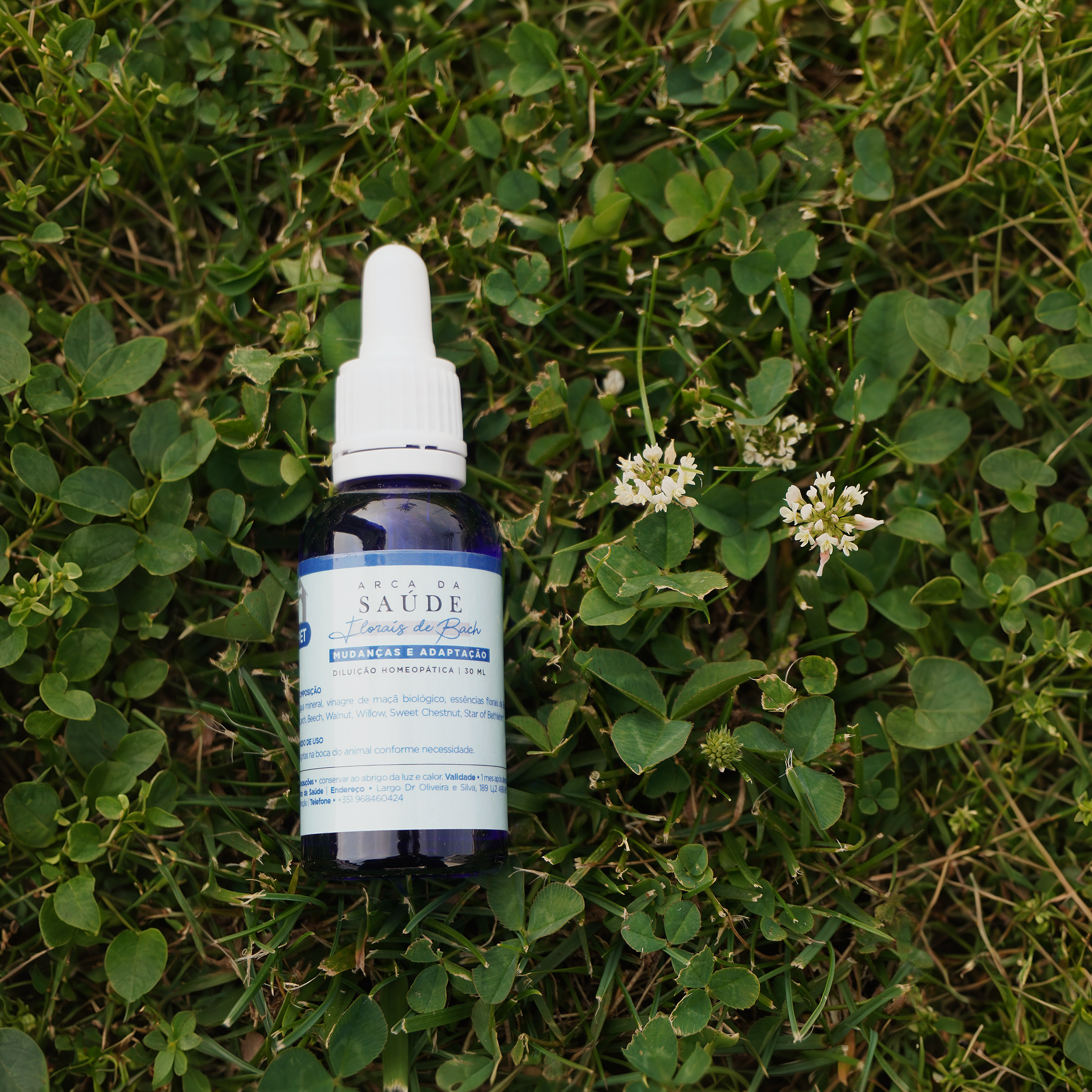 Florais de Bach Pet - Mudanças e Adaptação